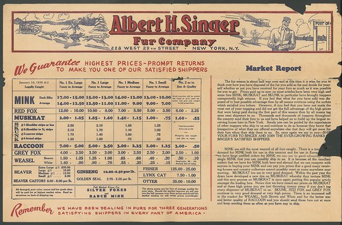 Albert singer rapporto - h,